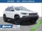 2020 Jeep Cherokee Trailhawk 4x4