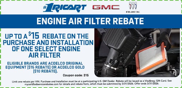 Engine Air Filter Rebate